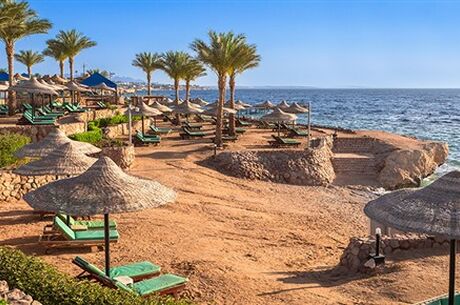 Sharm El Sheikh Turu Türk Havayolları ile 4 Gece Otelden Erken Çıkışlı