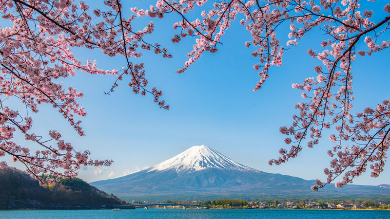 Süper Promo Direkt Sefer İle Japonya Turu