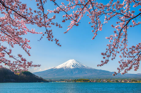 Süper Promo Direkt Sefer İle Japonya Turu