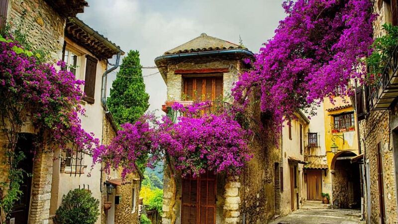 Almanya & Fransa & isviçre | 3 Gece | İstanbul Çıkış | THY