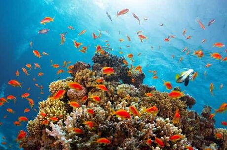 Baştan Başa Mısır – Hurghada ve Sharm’da Her Şey Dahil Konaklama – Kolay Vize – Uygun Saatli Uçuşlar