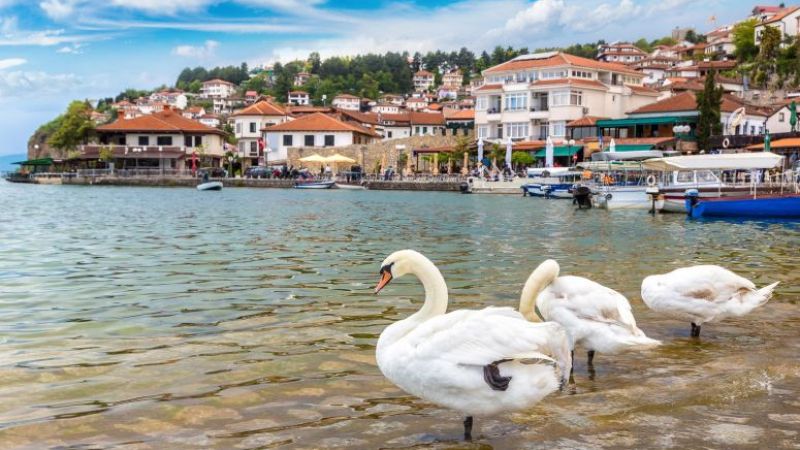 Arnavutluk & Makedonya & Kosova Turu (TIA-TIA)