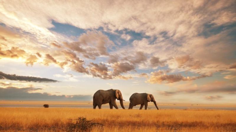 Dolu Dolu Kenya Safari Turu Rotası