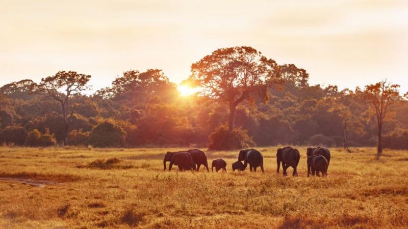 Dolu Dolu Kenya Safari Turu Rotası