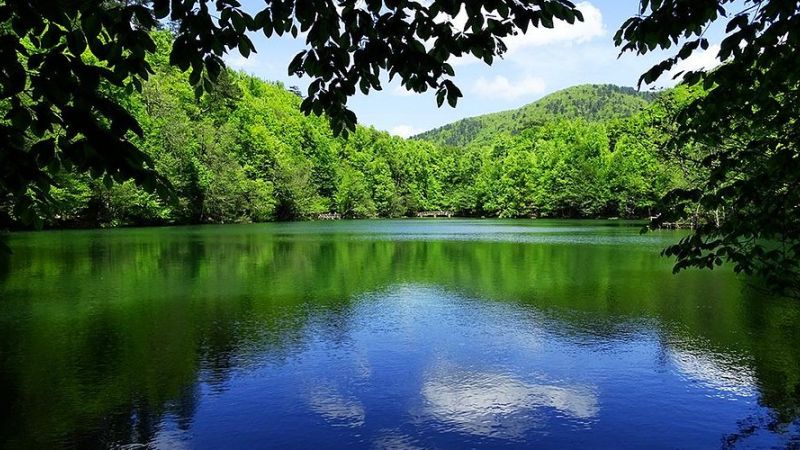 Şile Ağva Abant Yedigöller Gölcük Maşukiye Ormanya Turu 2026