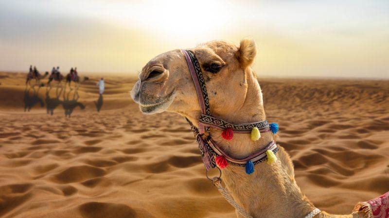 Dolu Dolu Emirates Havayolları ile Dubai Turu Rotası