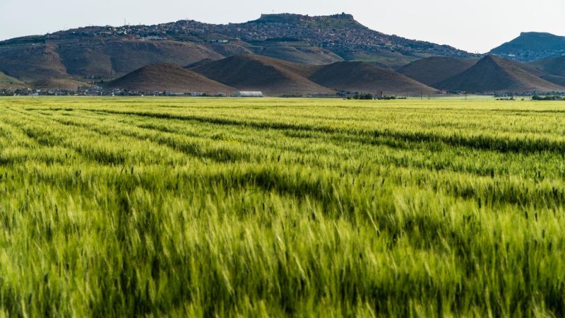 Uçaklı Butik Mezopotamya Rüyası Mardin &Diyarbakır Turu 2026
