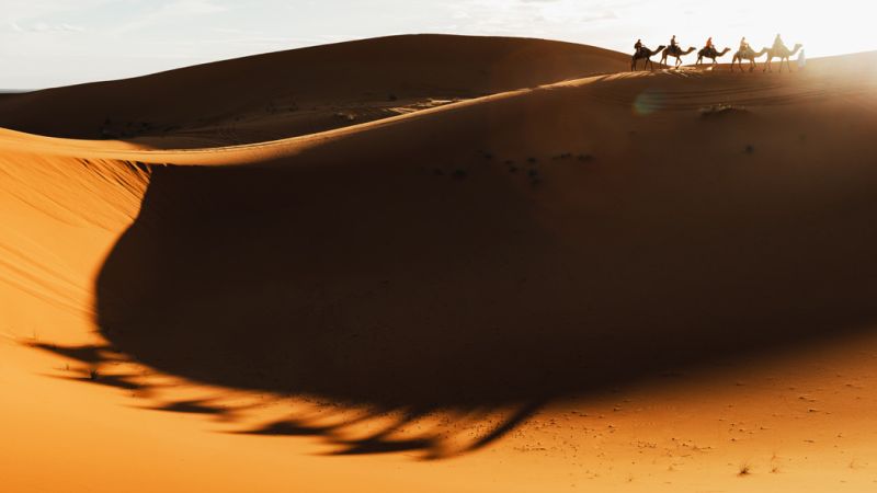 Görkemli Dubai & Lüksün Başkenti 2 Gece - Pegasus Hava Yolları  ile 16 Mayıs Hareket (19 Mayıs Özel)