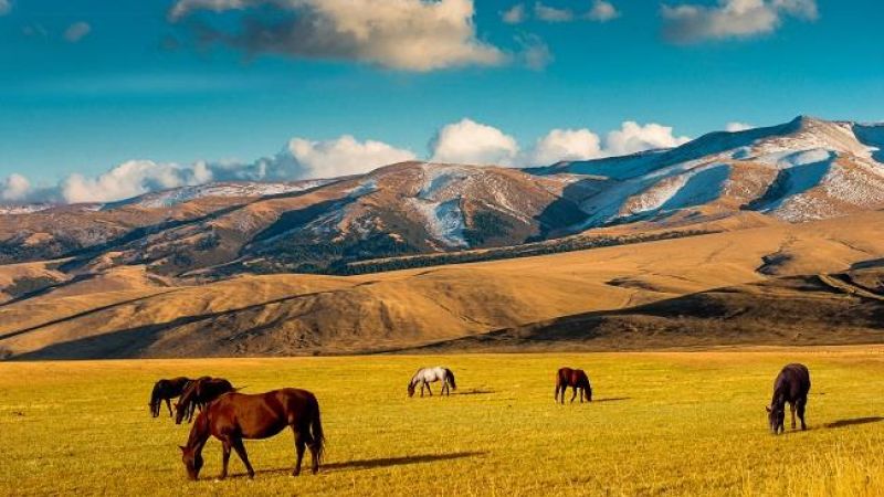 Dolu Dolu Bozkırın Kalbi Kırgızistan Turu Rotası