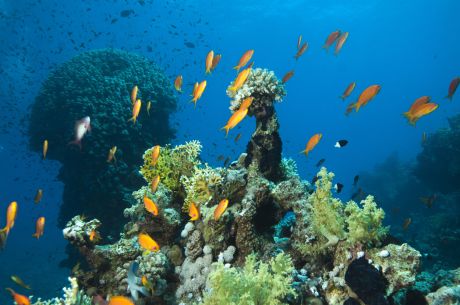 Dolu Dolu Piramitlerden Kızıl Denize Kahire & Sharm El Sheikh Turu Rotası