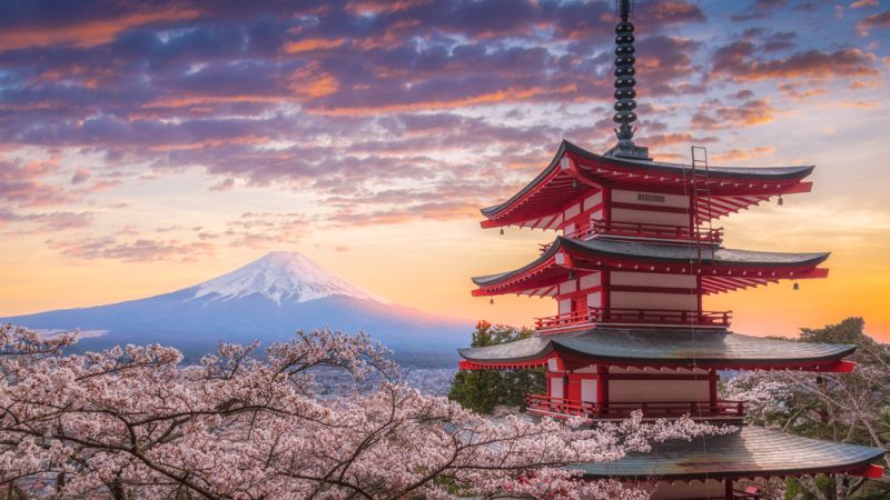 Dolu Dolu Sakura Dönemi Özel Japonya & Kore Turu Mistik Rotalar