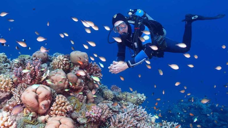 Dolu Dolu Piramitlerden Kızıl Denize Kahire & Sharm El Sheikh Turu Rotası V4