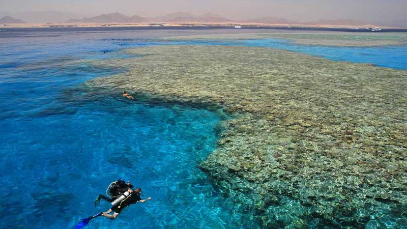 Dolu Dolu Piramitlerden Kızıl Denize Kahire & Sharm El Sheikh Turu Rotası V3