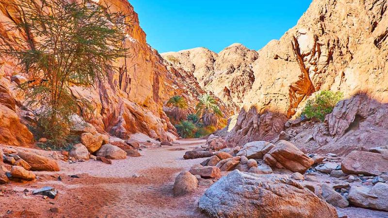 Sharm El Sheikh Turu Kızıldeniz Rotası V2