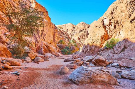 Sharm El Sheikh - Kızıldeniz Rotası Turu (4 Gece - 5 Gün)