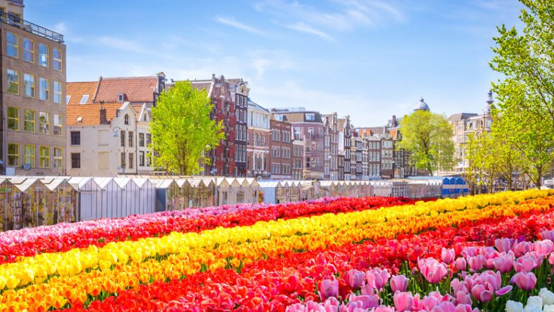 ADANA'DAN BENELUX & PARİS & ALSACE PROMO TURU SunExpress Havayolları ile 6 gece