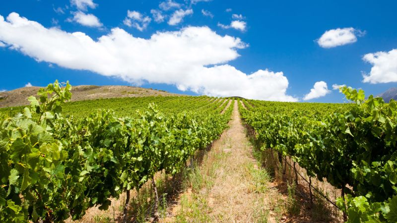 Dolu Dolu Güney Afrika & Botsvana & Victoria Şelaleleri Turu Rotası V3