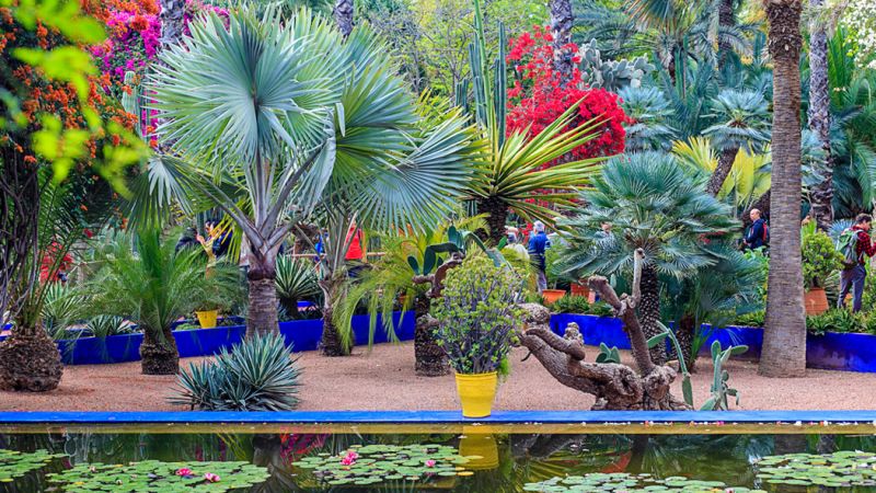 Görkemli Fas Krallığı ve Sahra Çölü 7 Gece - THY ile (2026 İlkbahar - Yaz Dönemi) 