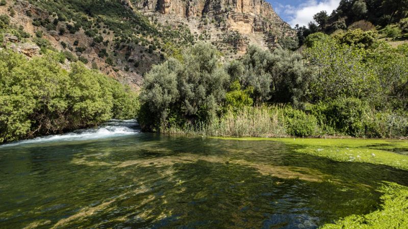 Elegant Sahra Çölü ve Binbir Gece Masalları Air Arabia Havayolları ile 6 Gece 7 Gün RBA-RBA