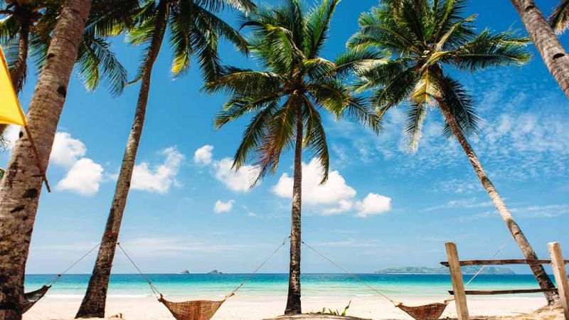 Vizesiz Büyük Filipinler Turu Türk Havayolları ile 11 Gece 13 Gün 2026 EJ001