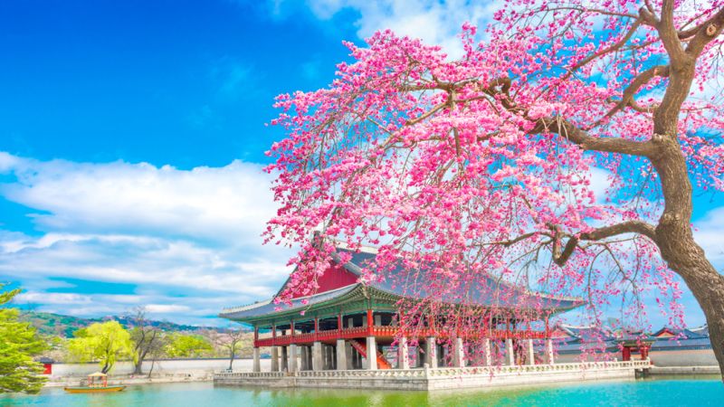 Uzak Doğu’nun Güneşi “Japonya” THY ile 6 gece (HND-KIX) Tokyo (3) – Hakone – Osaka (3) – Kyoto – Nara | Tüm turlar ve giriş ücretleri dahil